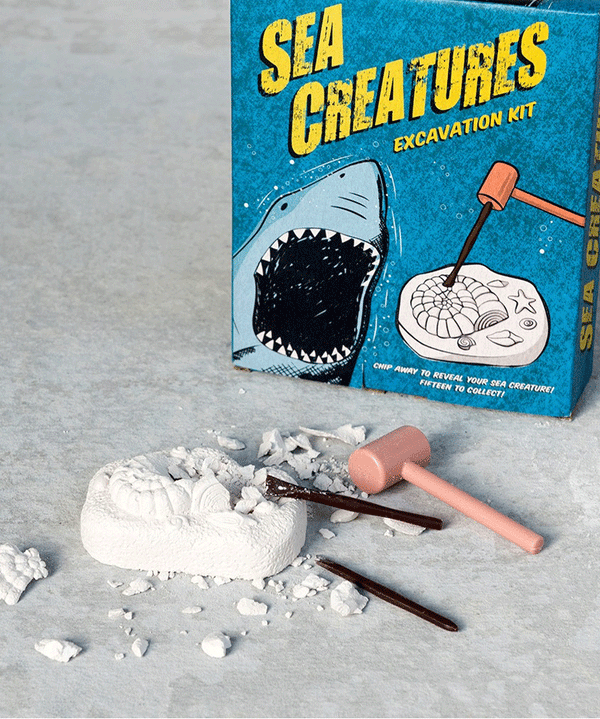 Sea Creature Excavation Kit