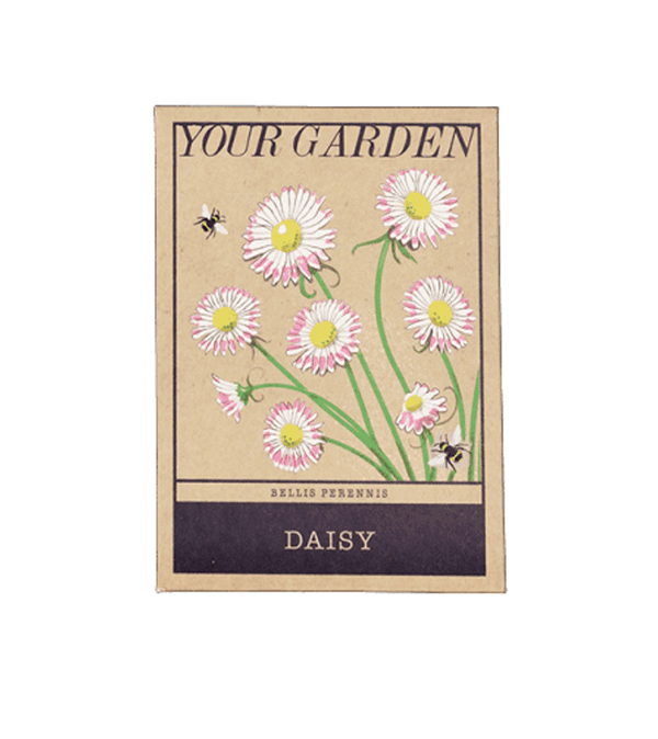 Your Garden Daisy Flower Seeds
