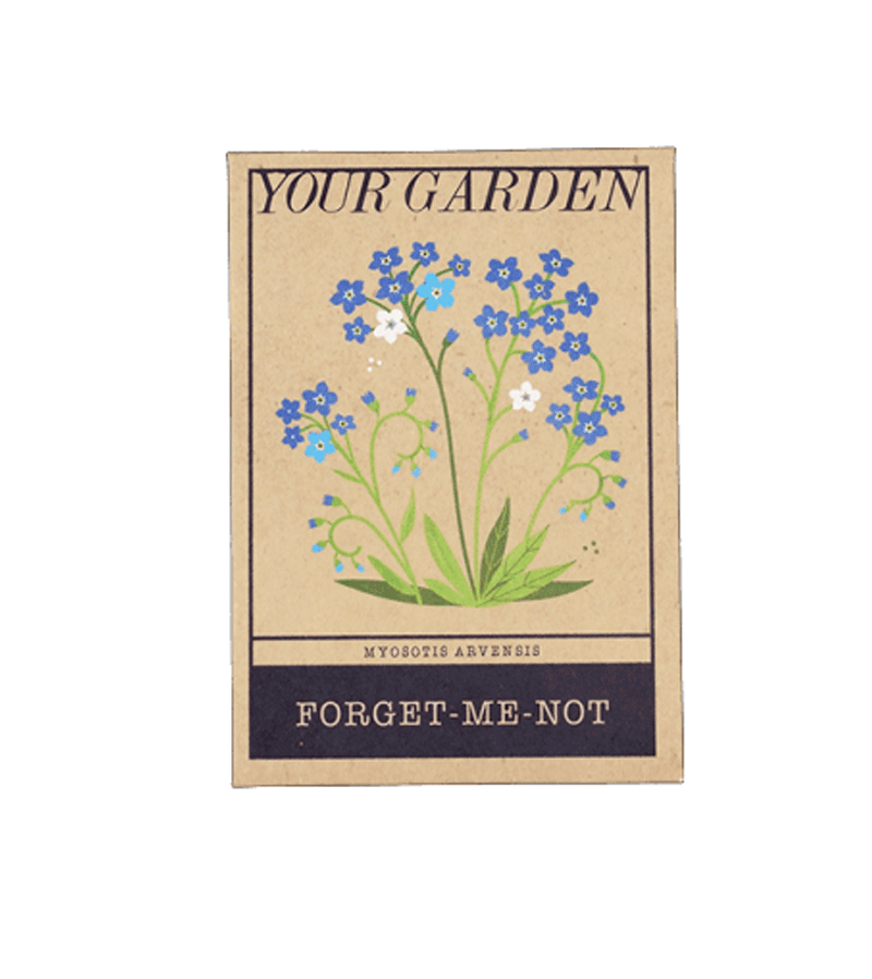 Your Garden Forget-Me-Not Flower Seeds