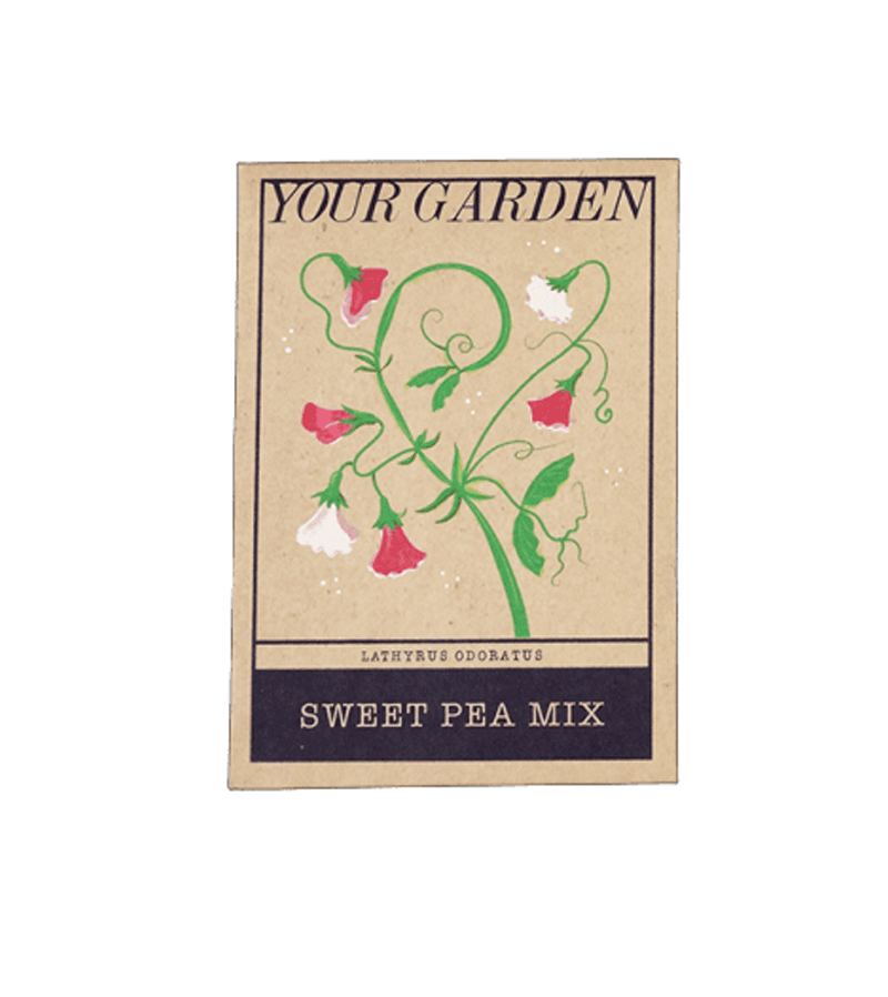 Your Garden Sweet Pea Mix Flower Seeds