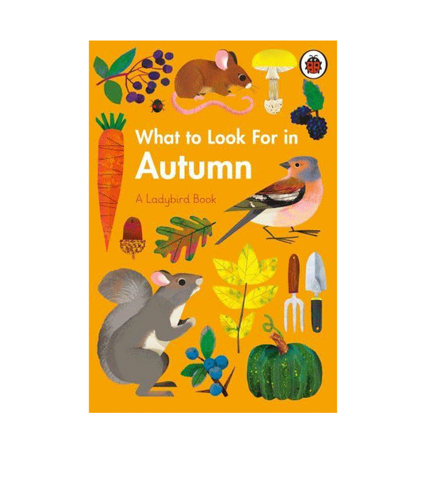 What to Look For in Autumn by Elizabeth Jenner