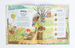 Feel Good Gardening by Kay Maguire