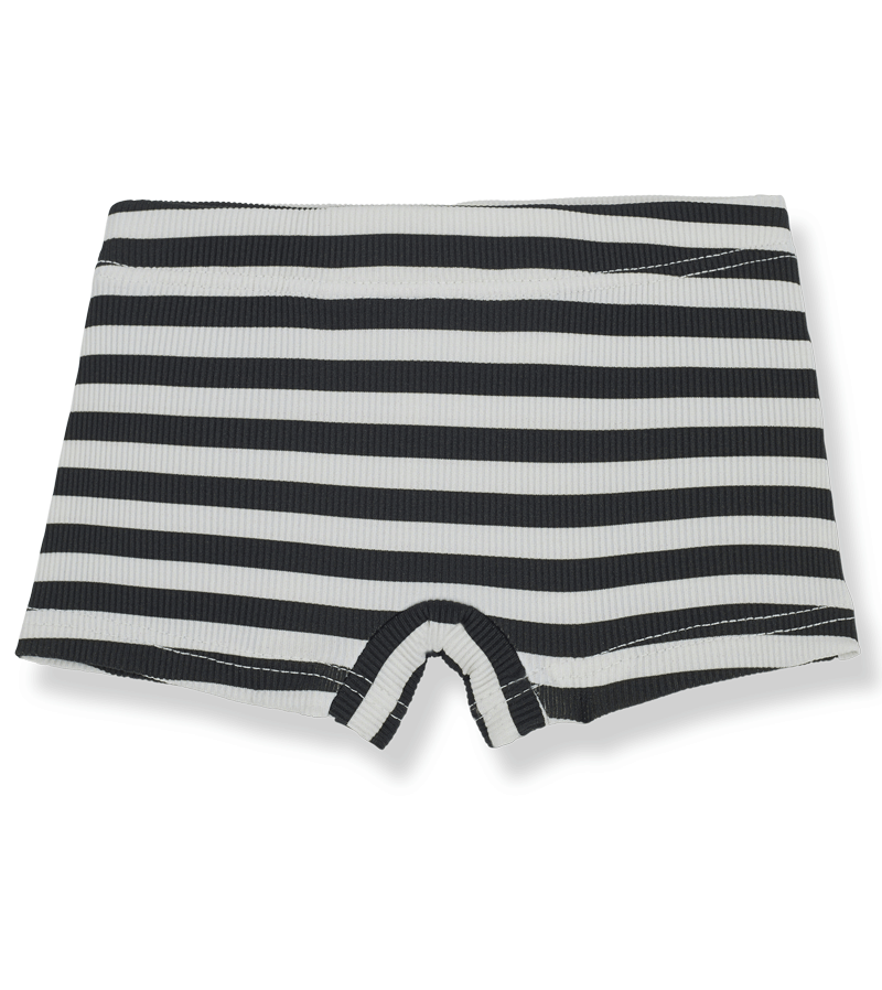 Anthracite Striped Alessandro Swim Trunks by 1+ in the Family