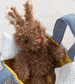 Moppettes Beau Bunny in Carry Cot by Manhattan Toys