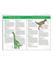 Observation puzzle - Dinosaurs 100 pcs by Djeco