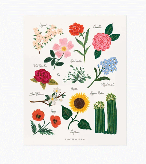 Florals of the United States Art Print 8 × 10 inches by Rifle Paper Co.