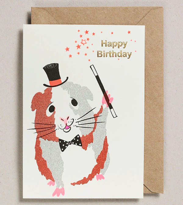 Guinea Pig Happy Birthday Card by Petra Boase