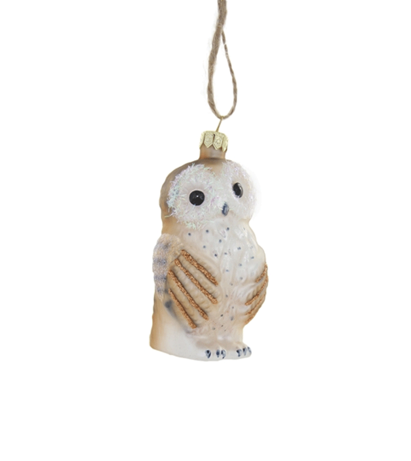 Bashful Owl Glass Ornament by Cody Foster