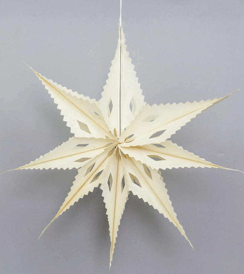 White Sirius Paper Star Decoration by AfroArt