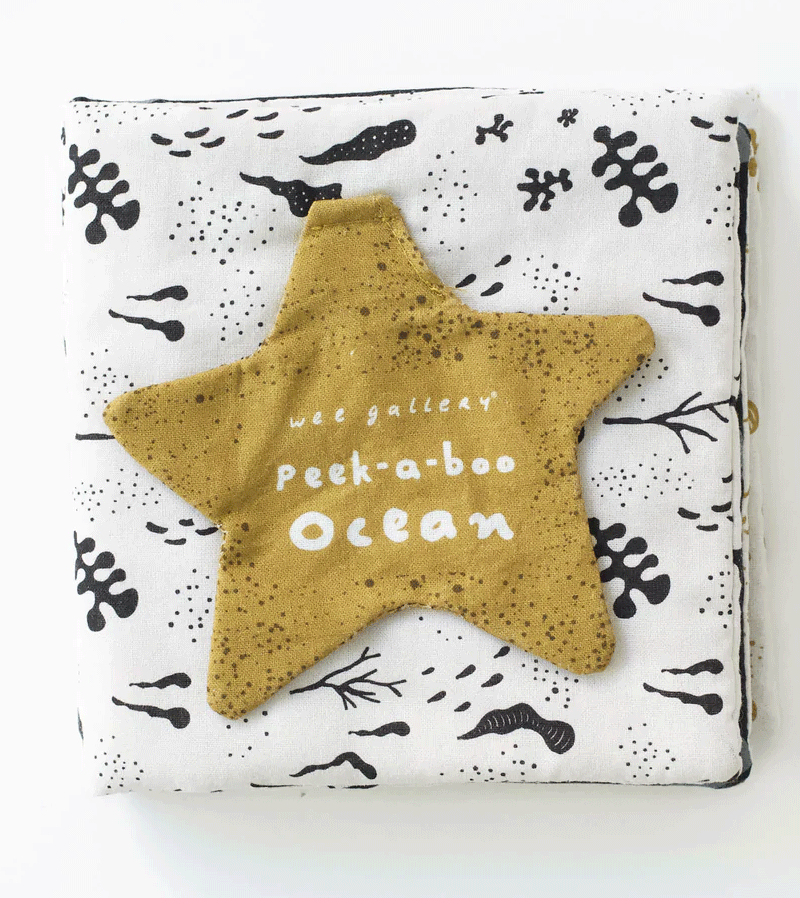 Peekaboo Ocean Soft Cloth Book