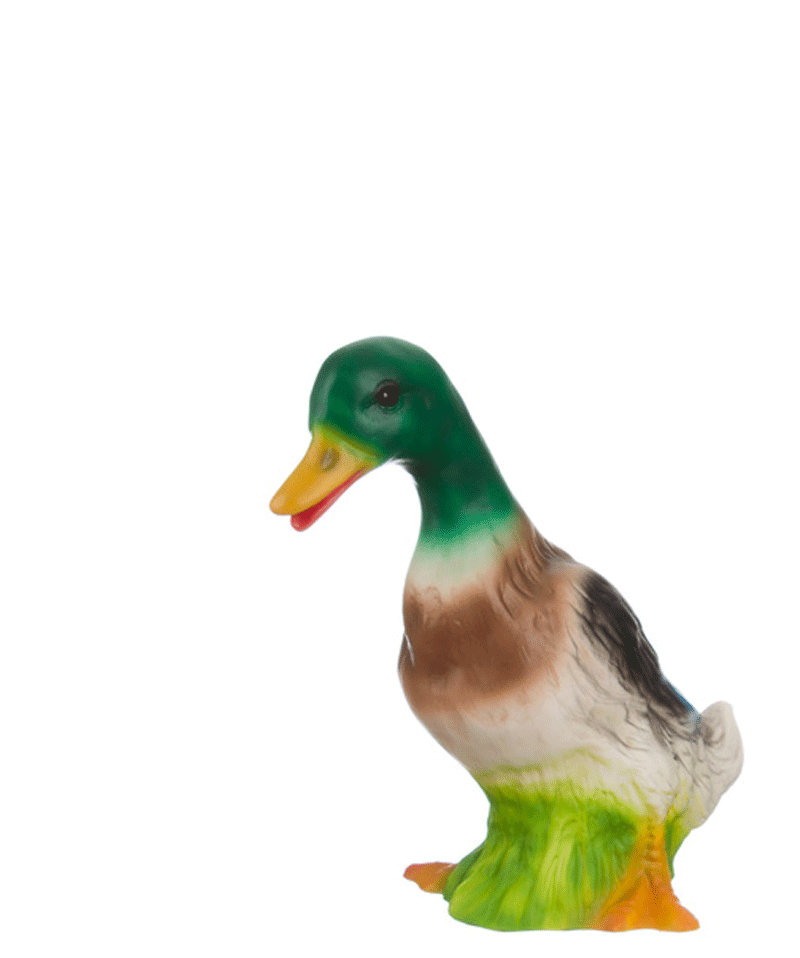 Drake Duck Lamp - Niddle Noddle